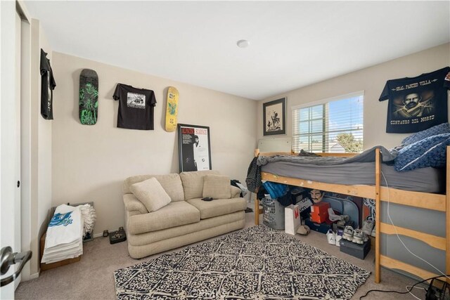 view of carpeted bedroom