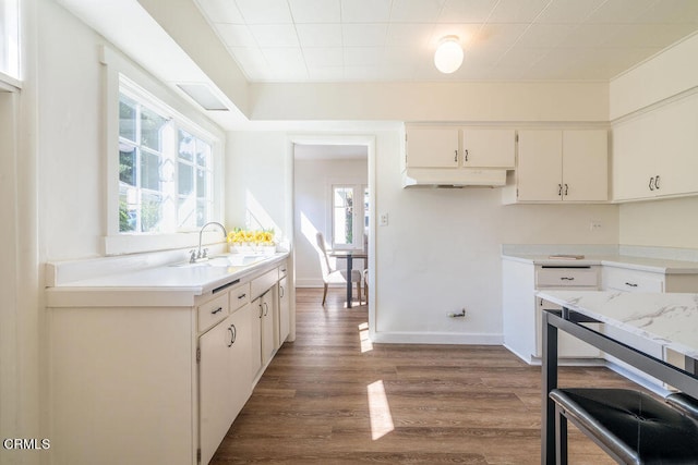 kitchen with white cabinets, dark hardwood / wood-style floors, and sink