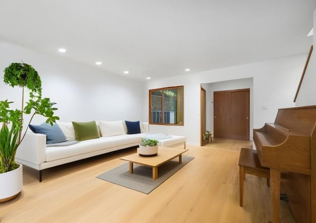 living room featuring light wood-type flooring