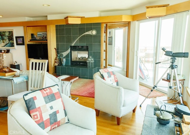 living room featuring a fireplace and hardwood / wood-style flooring