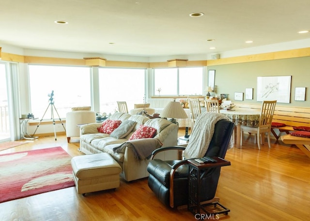 living room with light wood-type flooring