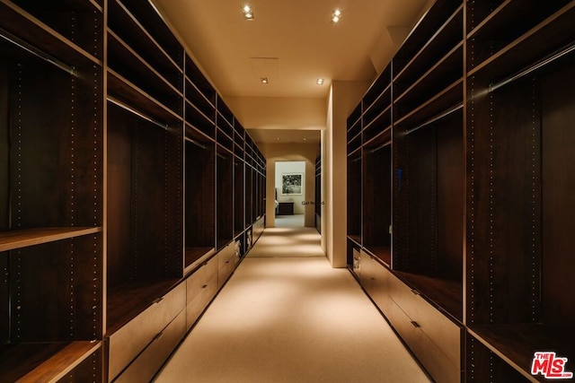 view of walk in closet