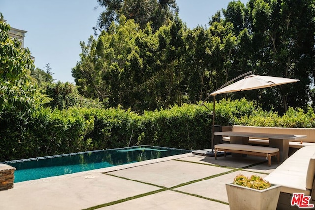 view of swimming pool with a patio