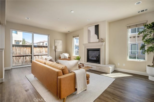 living room with hardwood / wood-style floors