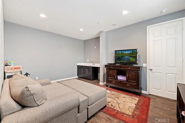 living room featuring hardwood / wood-style flooring and sink