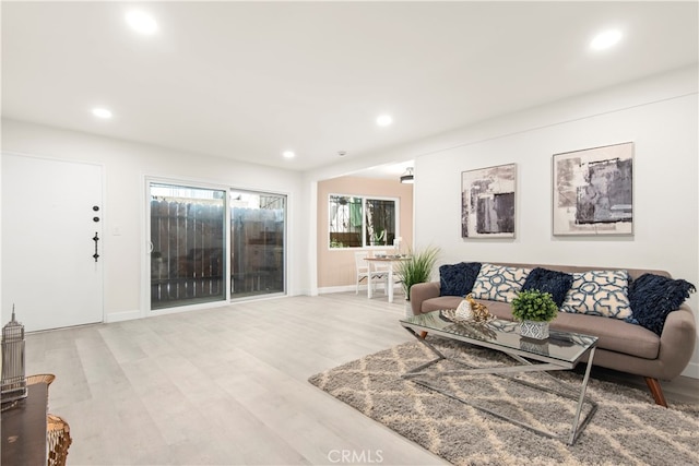 living room featuring light hardwood / wood-style flooring