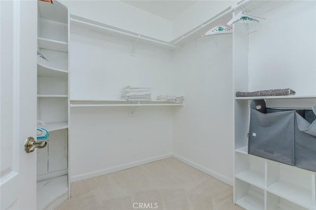 walk in closet featuring light colored carpet