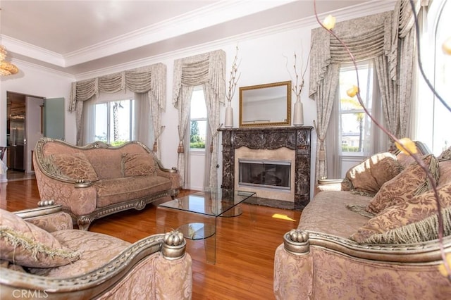 living room featuring a premium fireplace, a wealth of natural light, and wood-type flooring