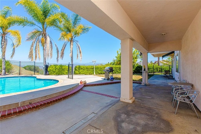 view of swimming pool featuring a grill and a patio