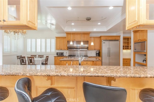 kitchen featuring a kitchen bar, stainless steel appliances, light stone countertops, and a tray ceiling