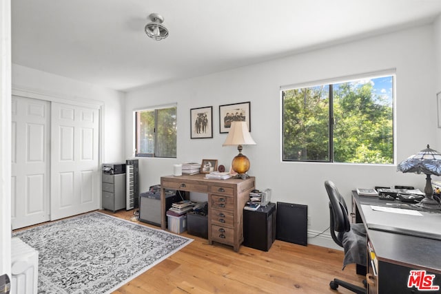 home office featuring light hardwood / wood-style flooring