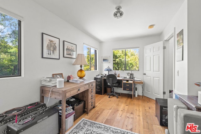 office space with light hardwood / wood-style floors