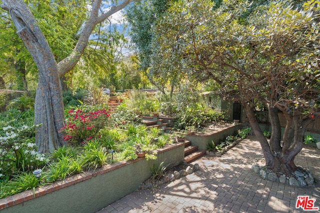 view of yard with a patio