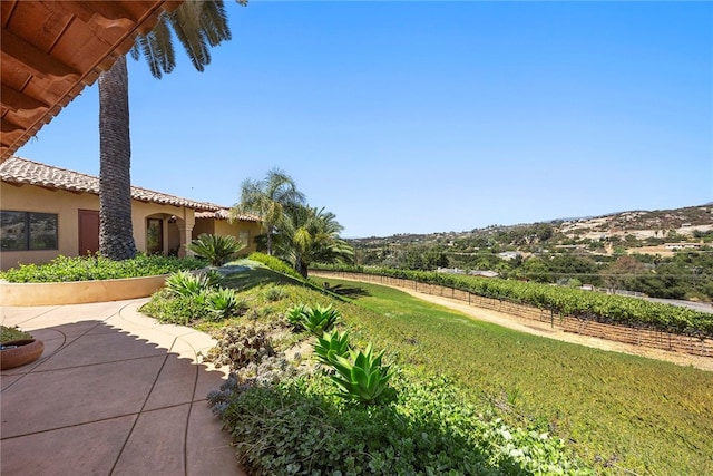 view of yard with a patio