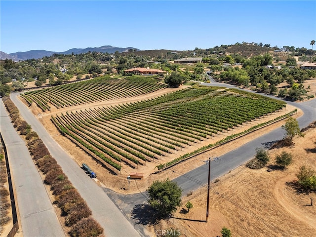 bird's eye view featuring a mountain view and a rural view