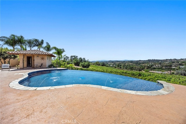 view of pool with a patio area and pool water feature