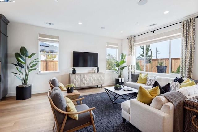 living room featuring a healthy amount of sunlight and light hardwood / wood-style flooring