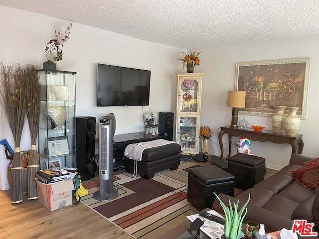 living room featuring a textured ceiling and light hardwood / wood-style flooring