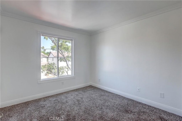 unfurnished room with carpet and ornamental molding