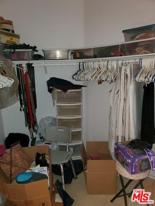 view of walk in closet