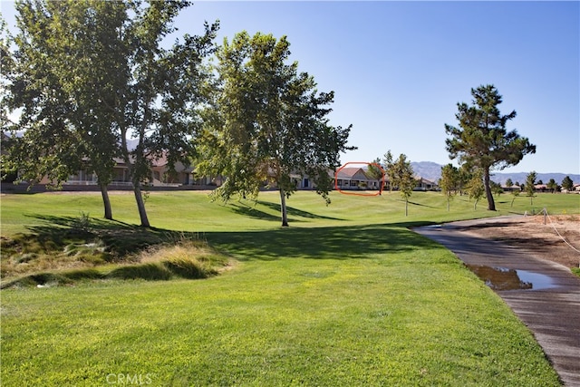 view of community with a lawn