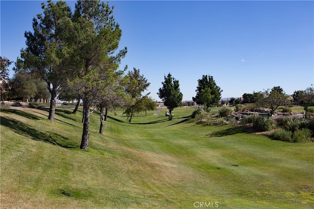 view of home's community with a yard