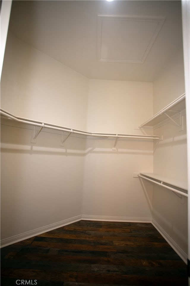 walk in closet with dark hardwood / wood-style floors