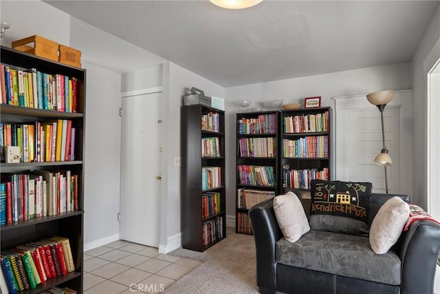 living area featuring light colored carpet