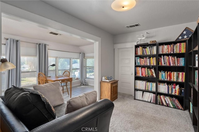 sitting room featuring carpet floors