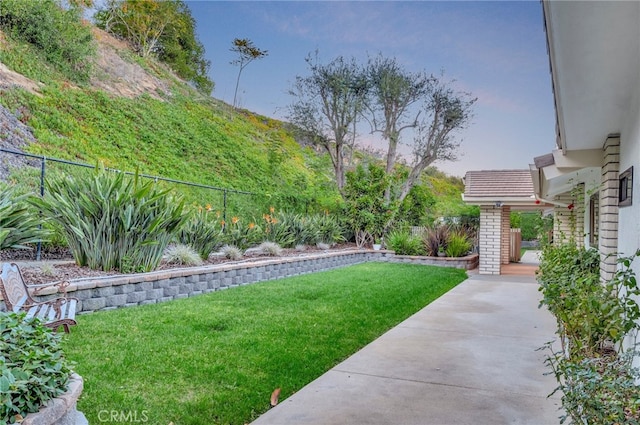 view of yard featuring a patio