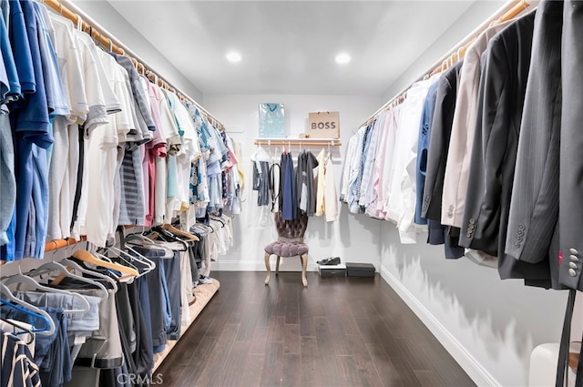 spacious closet featuring dark wood-type flooring