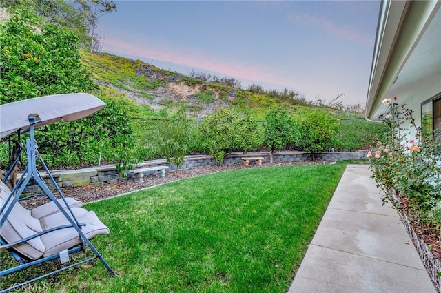 view of yard at dusk