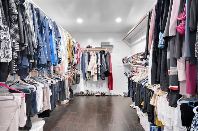 walk in closet with dark hardwood / wood-style flooring