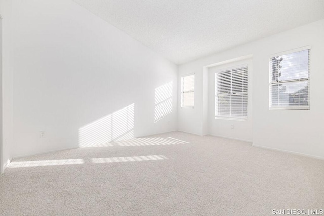 carpeted empty room with a textured ceiling