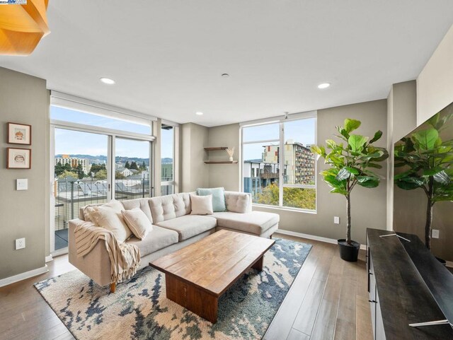 living room featuring hardwood / wood-style floors