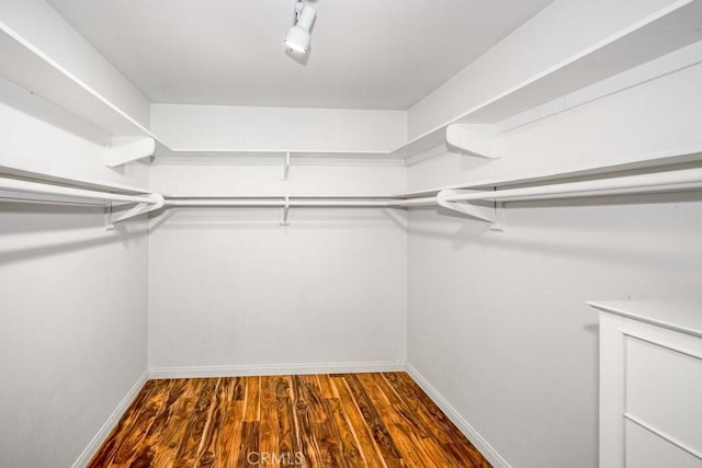 spacious closet featuring dark wood-type flooring