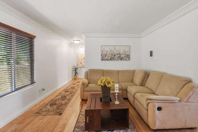 living room featuring hardwood / wood-style flooring and crown molding