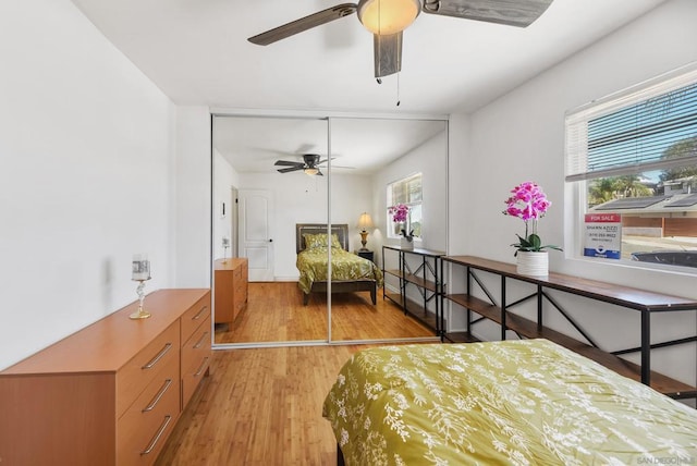 bedroom featuring multiple windows, light hardwood / wood-style flooring, ceiling fan, and a closet