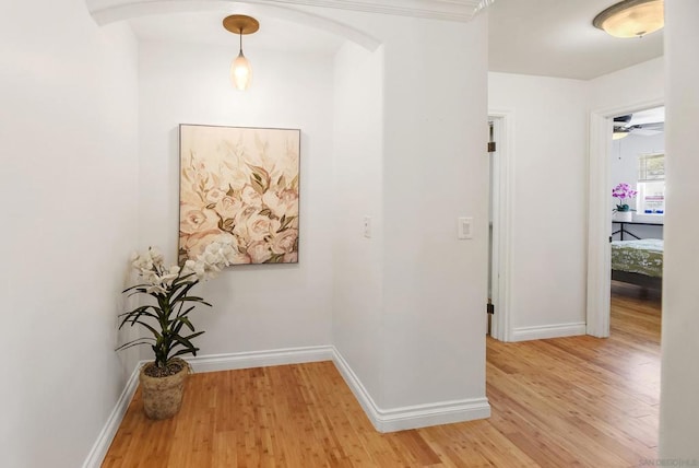 hallway featuring wood-type flooring