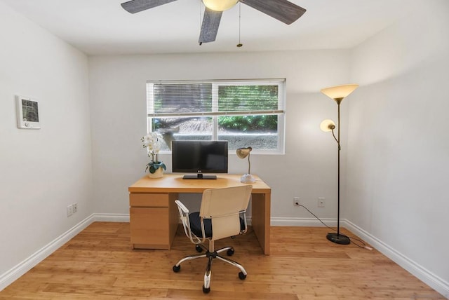 office featuring ceiling fan and light hardwood / wood-style floors