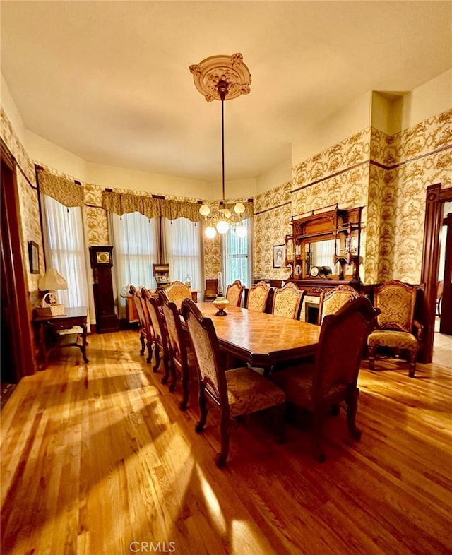 dining space with wood-type flooring and a chandelier