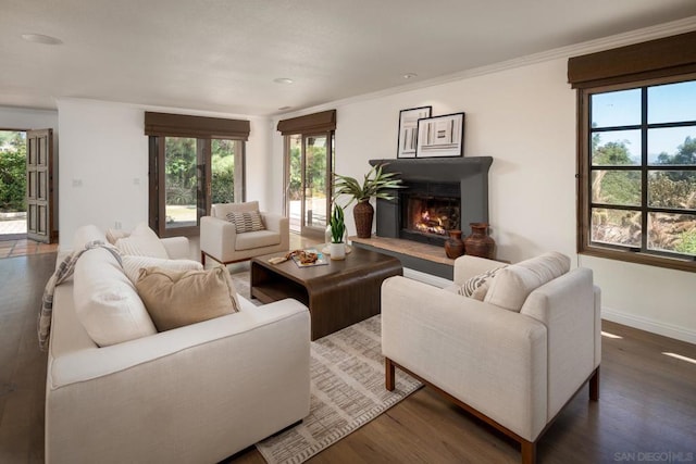 living room featuring crown molding and dark hardwood / wood-style floors