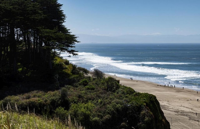 view of water feature featuring a view of the beach