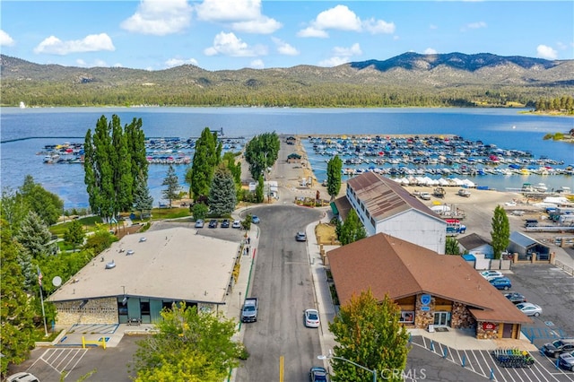 birds eye view of property featuring a water and mountain view