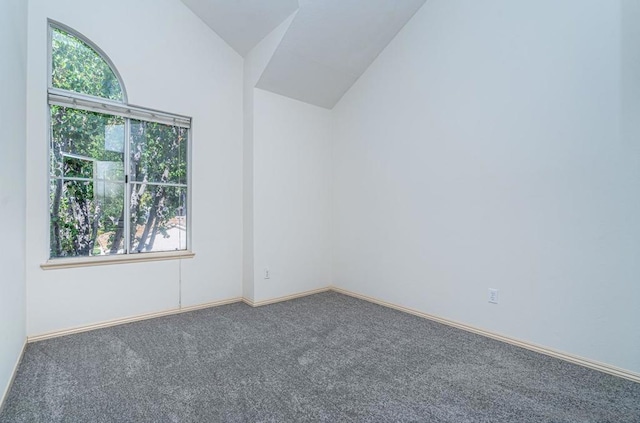 spare room featuring high vaulted ceiling and carpet flooring