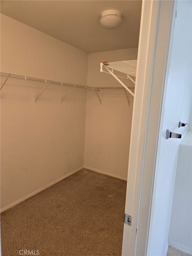 walk in closet with carpet