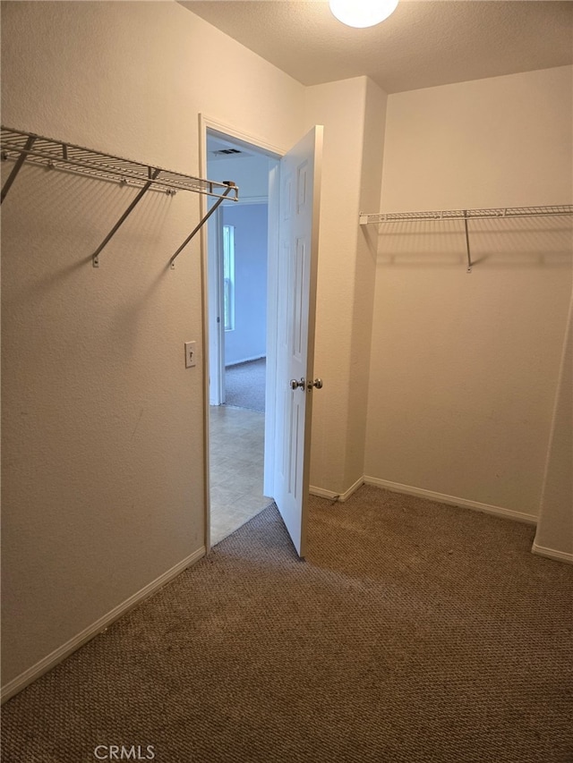 walk in closet featuring carpet floors