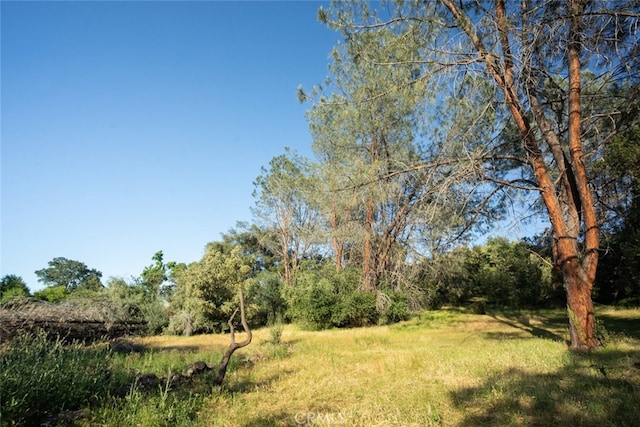 0 Pinedale Ave, Oroville CA, 95966 land for sale