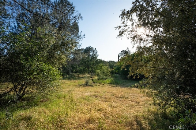 Listing photo 3 for 0 Pinedale Ave, Oroville CA 95966