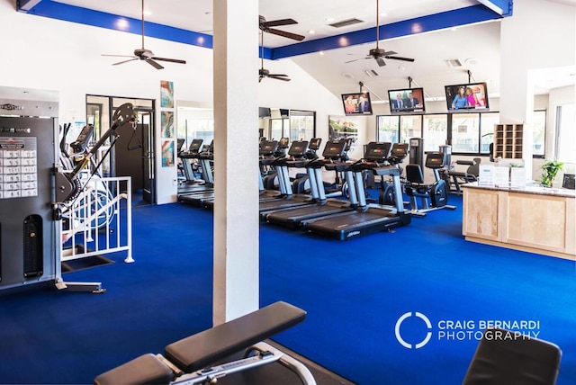 exercise room featuring high vaulted ceiling